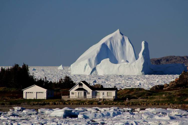canada newfoundland labrador iceberg doreen dalley