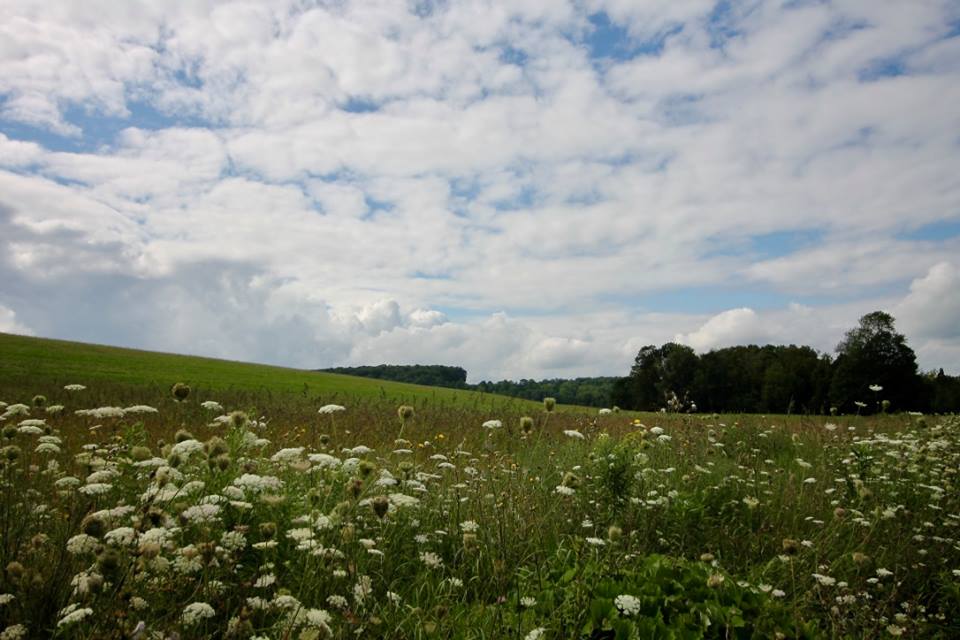 ontario hills and skies 2